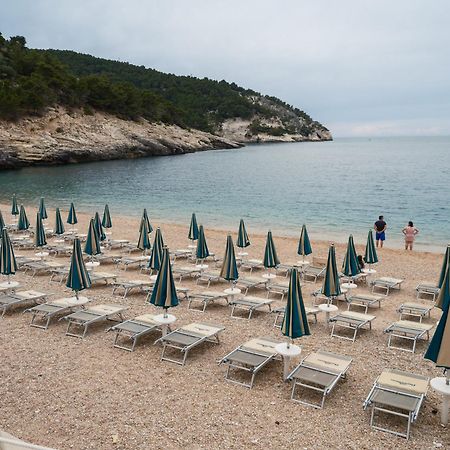 La Finestra Sul Mare - Antonella Apartment Vieste Bagian luar foto