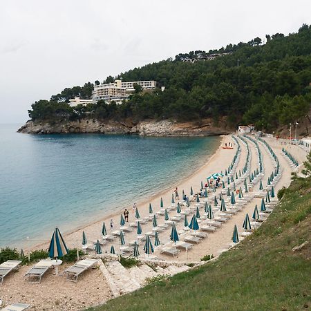 La Finestra Sul Mare - Antonella Apartment Vieste Bagian luar foto