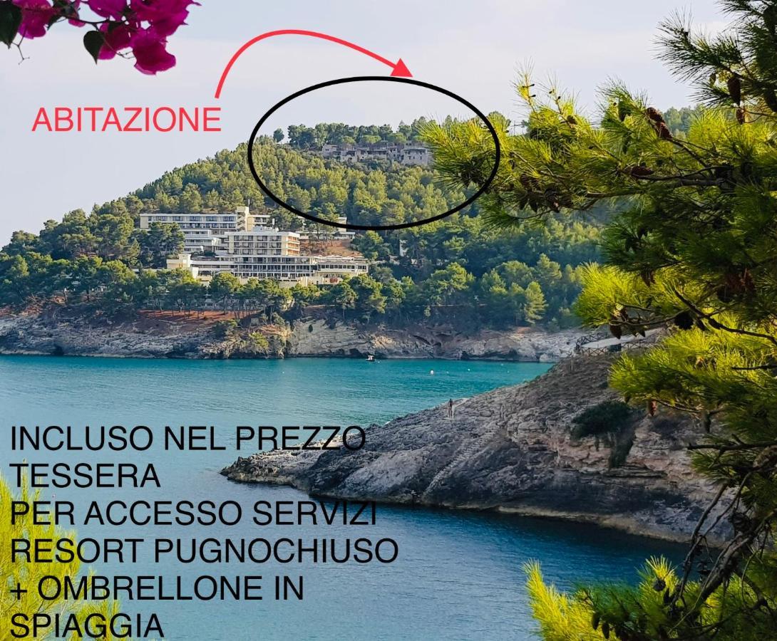 La Finestra Sul Mare - Antonella Apartment Vieste Bagian luar foto